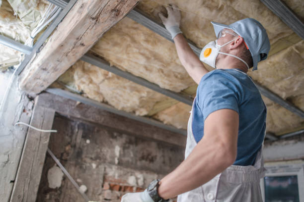 Best Residential Insulation Services  in Opp, AL