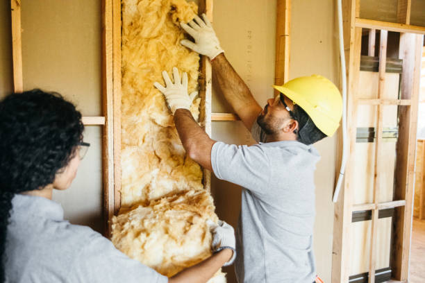 Best Spray Foam Insulation  in Opp, AL