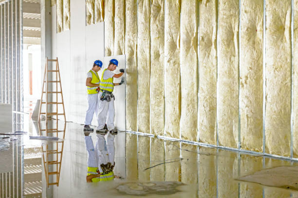 Best Fiberglass Insulation  in Opp, AL